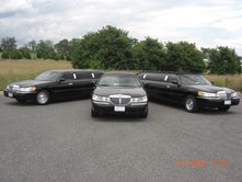 Custom_Transportation_Cars.jpg